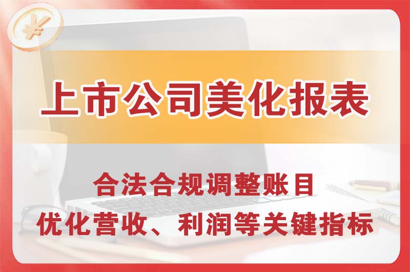 荔湾上市公司美化报表